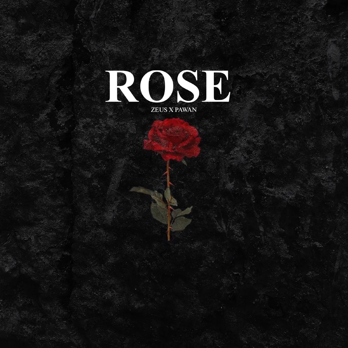 Rose For You - Single album cover