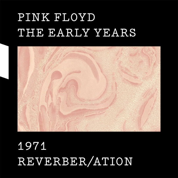 The Early Years, 1971: Reverber/ation album cover