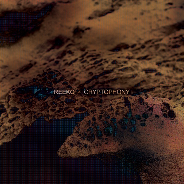 Cryptophony album cover