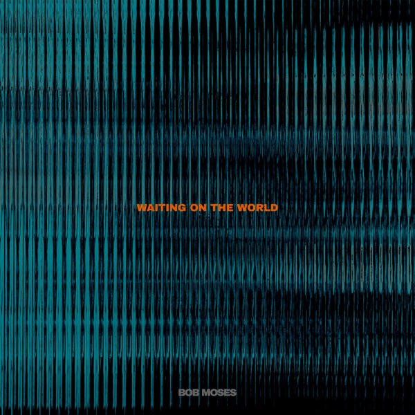 Waiting on the World - Single album cover