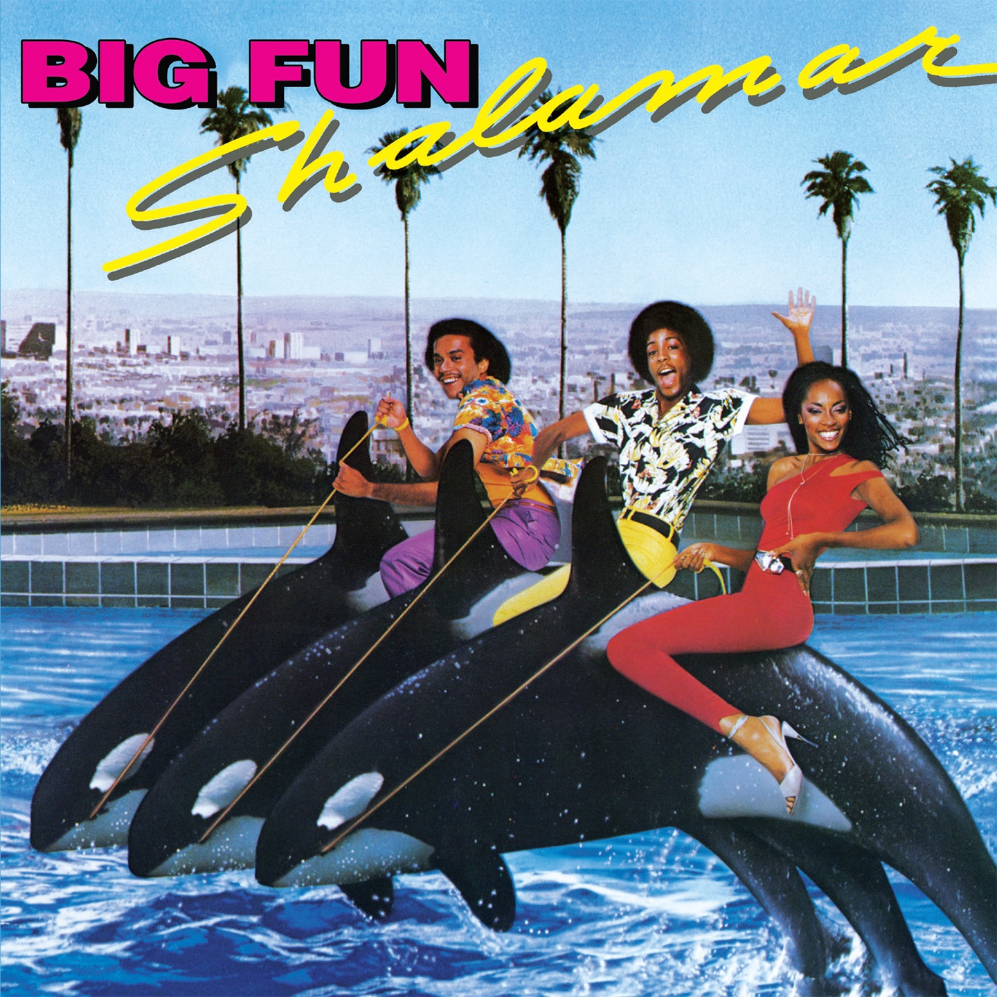 Big Fun (Deluxe Edition) album cover