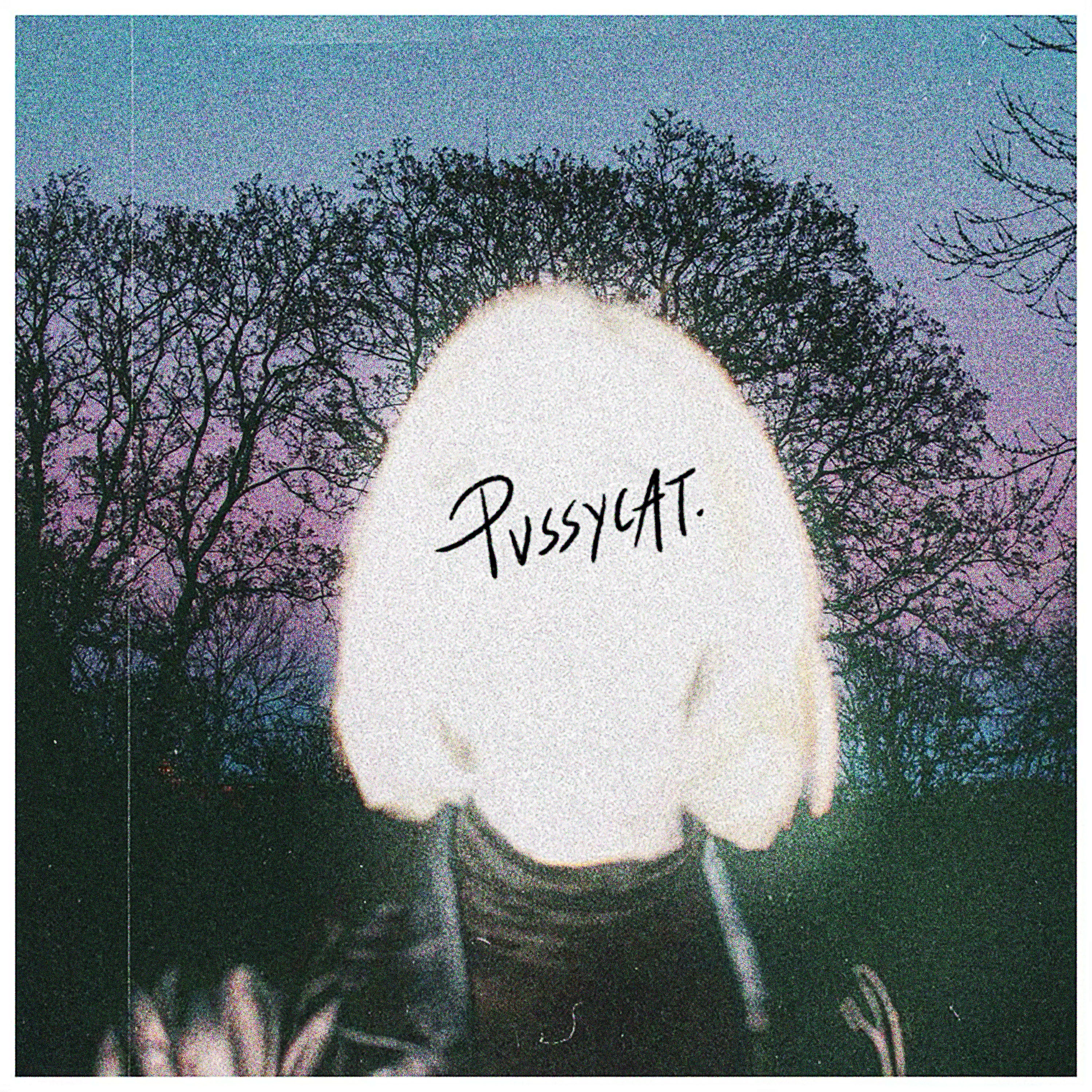 Pussycat. - Single album cover
