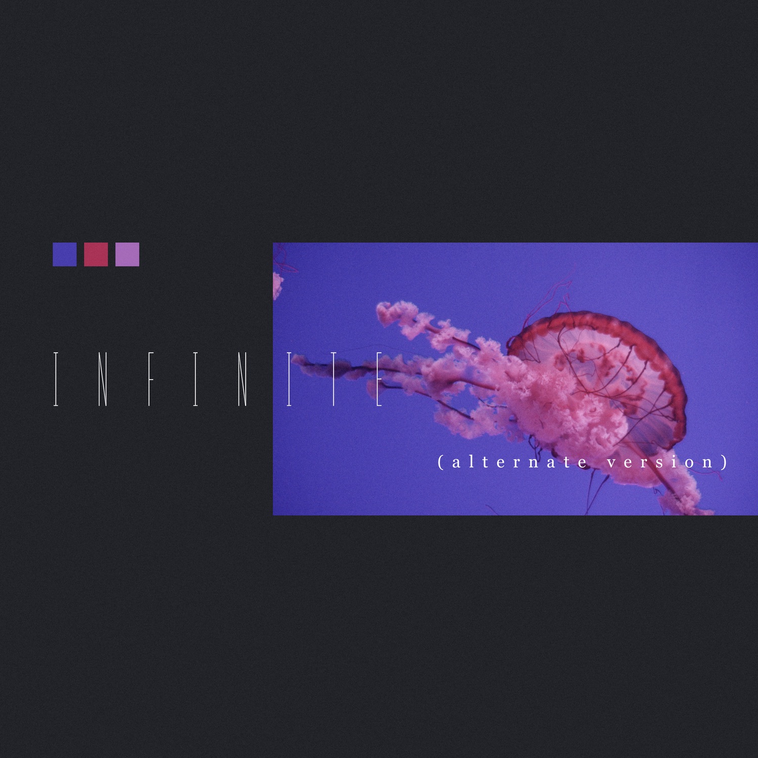 Infinite (Alternate Version) - Single album cover