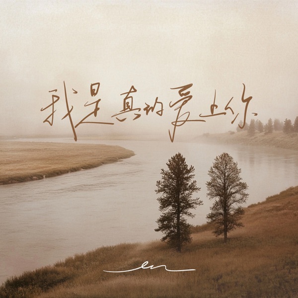 我是真的爱上你 - Single album cover