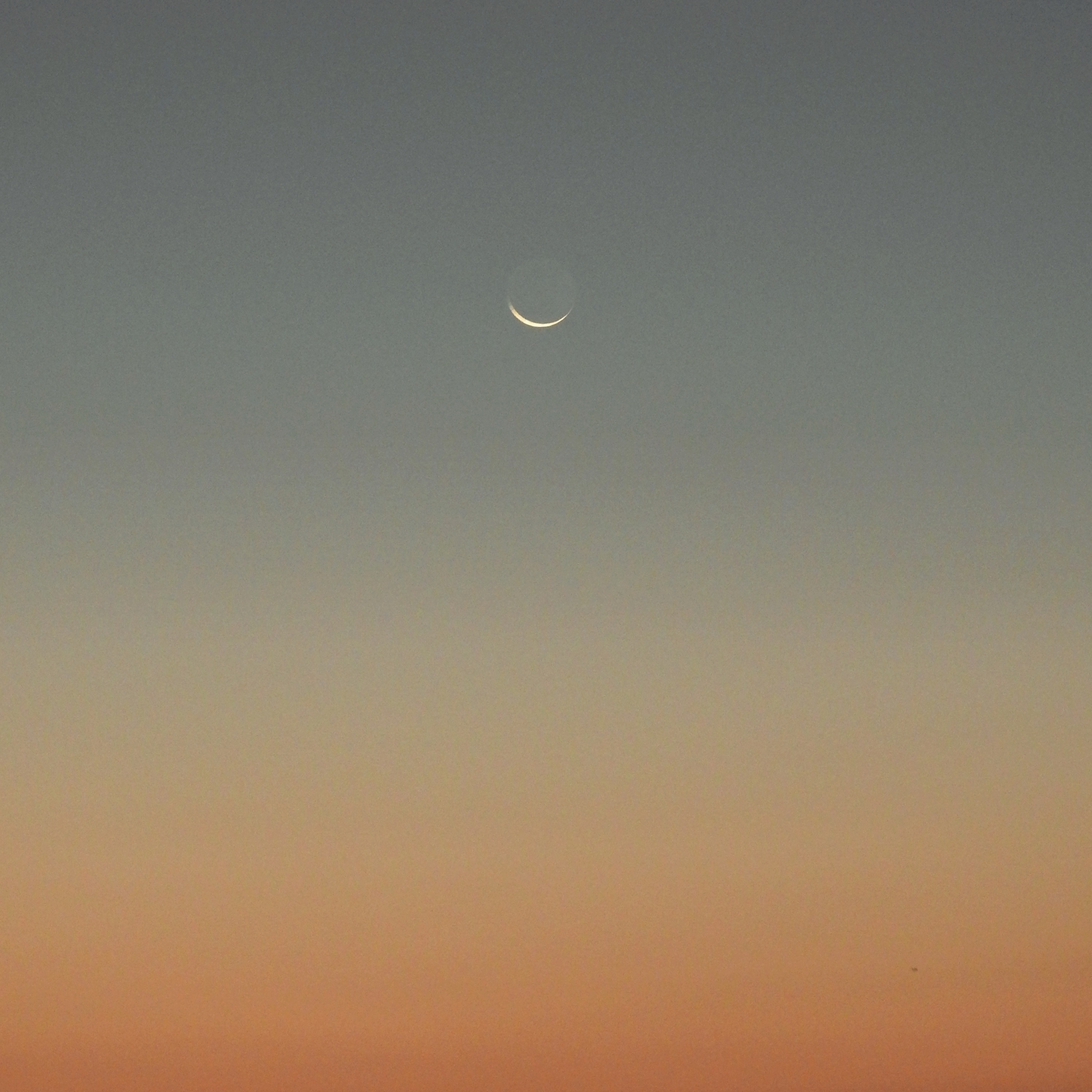 Surrender - Single album cover