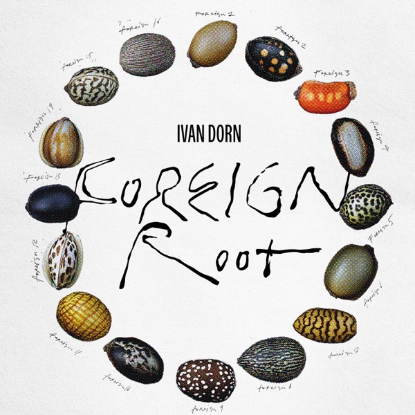 Foreign Root - Single album cover