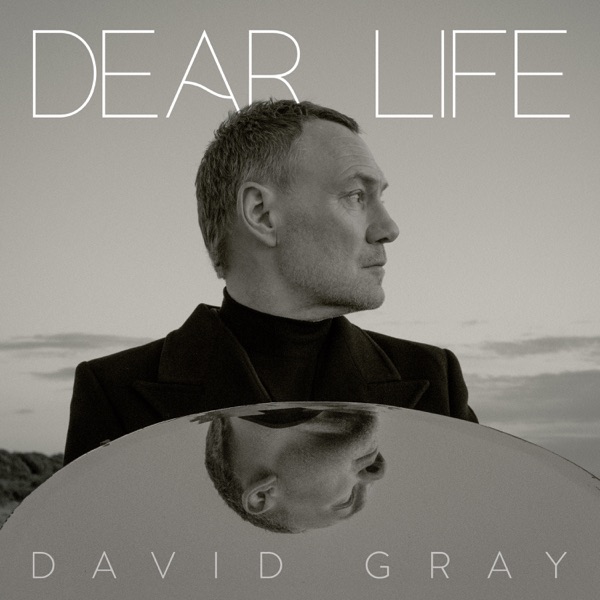 Dear Life album cover