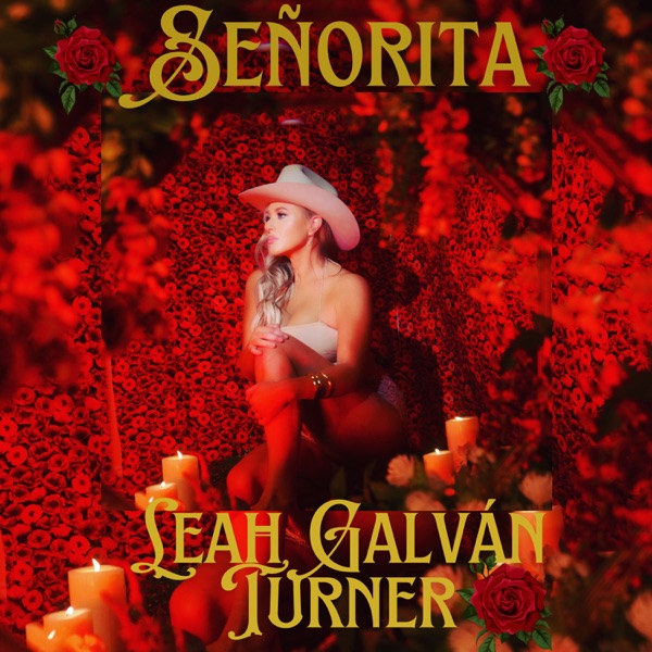 Señorita - Single album cover