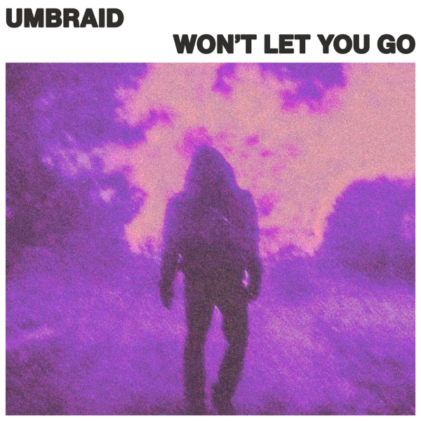 Won't Let You Go - Single album cover