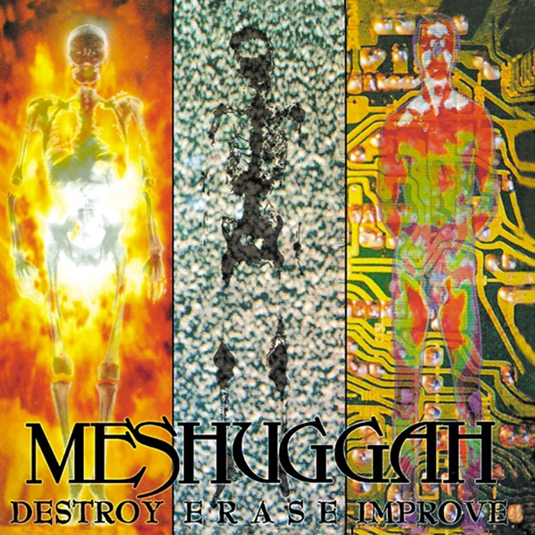 Destroy Erase Improve (Reloaded) album cover
