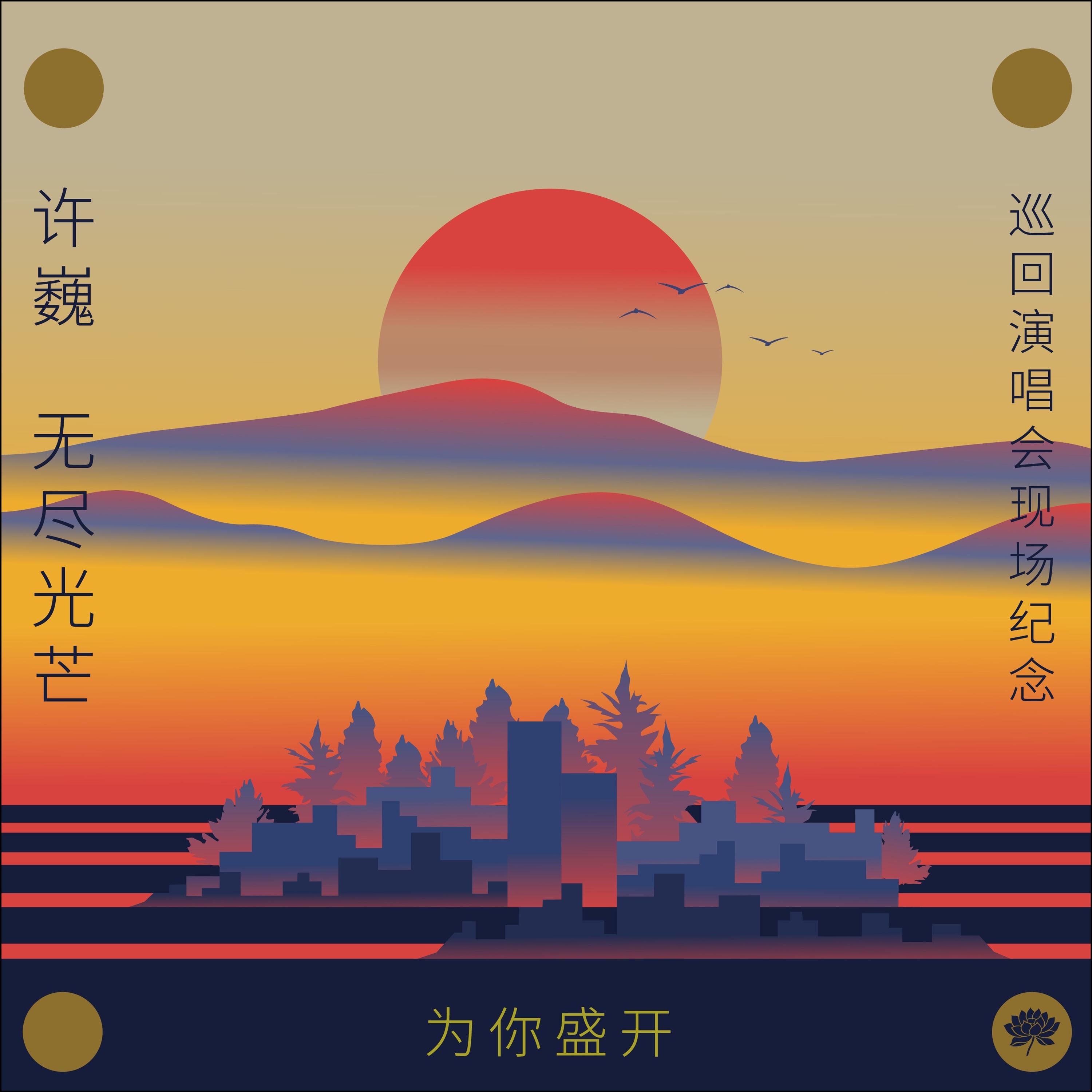 为你盛开-许巍《无尽光芒》巡回演唱会现场纪念 (Live) album cover