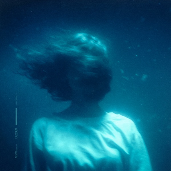follow your dreams - Single album cover
