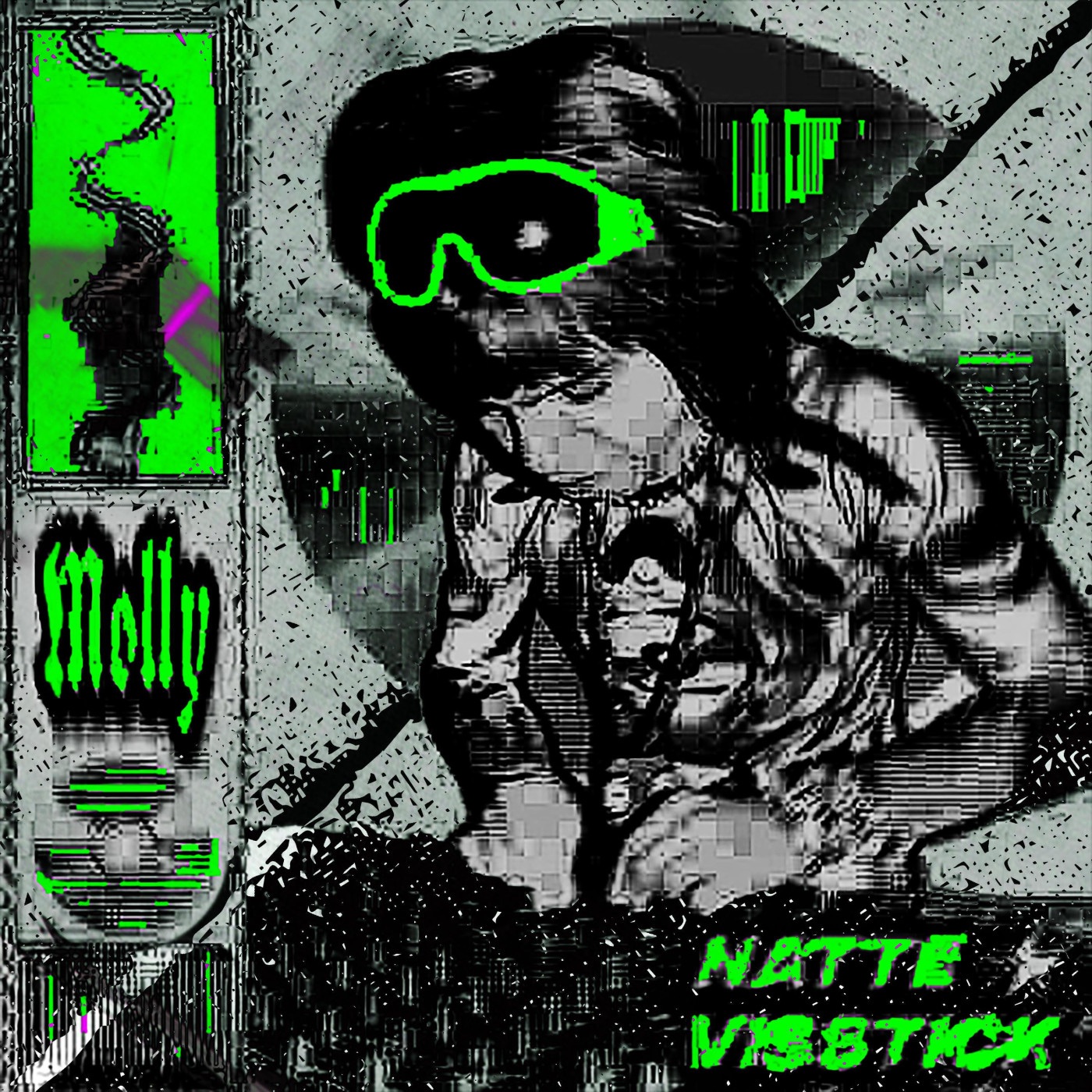 MOLLY (Visstick Hard Techno Version) - Single album cover