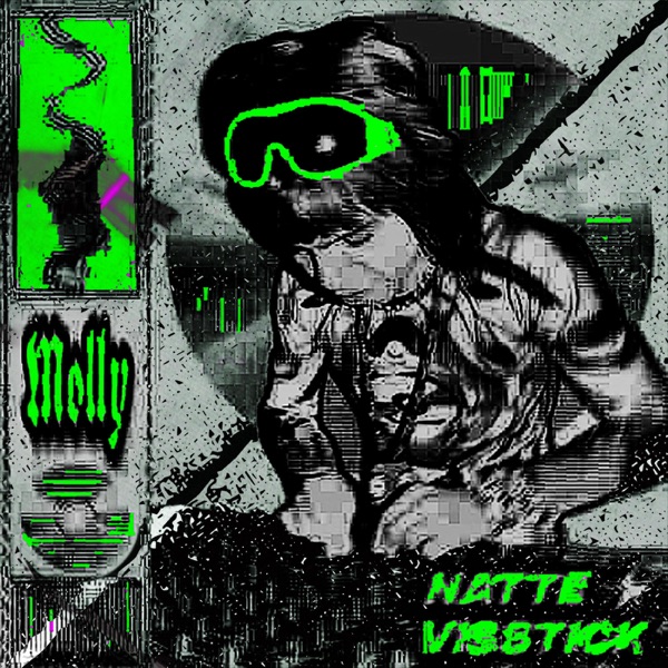 MOLLY (Visstick Hard Techno Version) - Single album cover