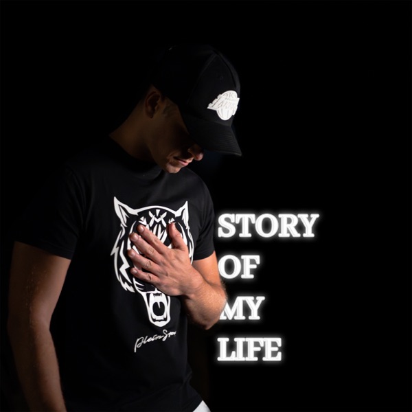Story of My Life - Single album cover