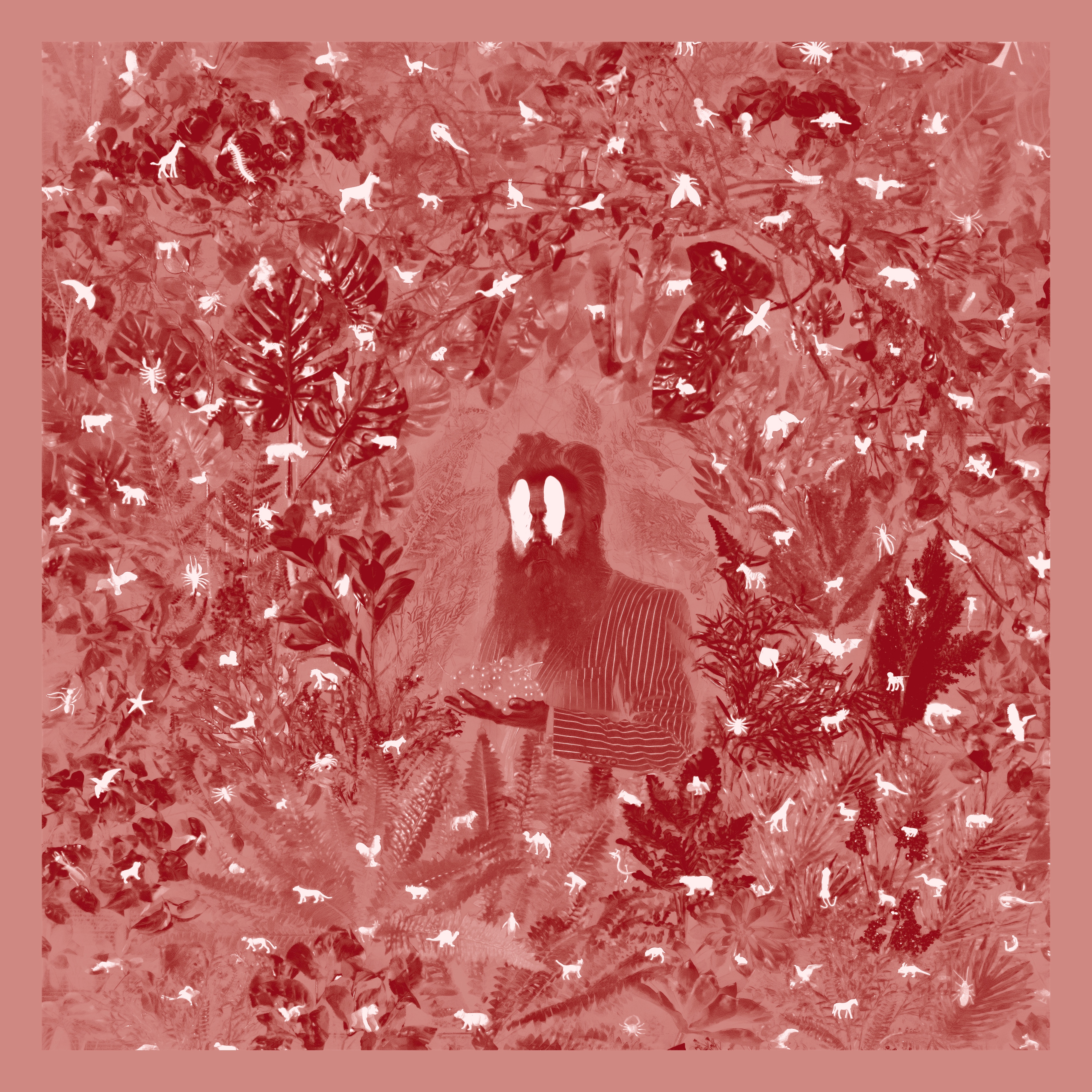 Hen's Teeth (Deluxe Edition) album cover