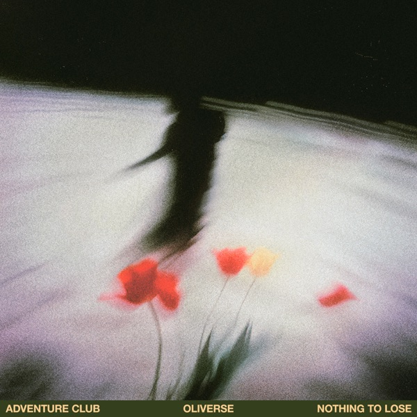 Nothing to Lose - Single album cover