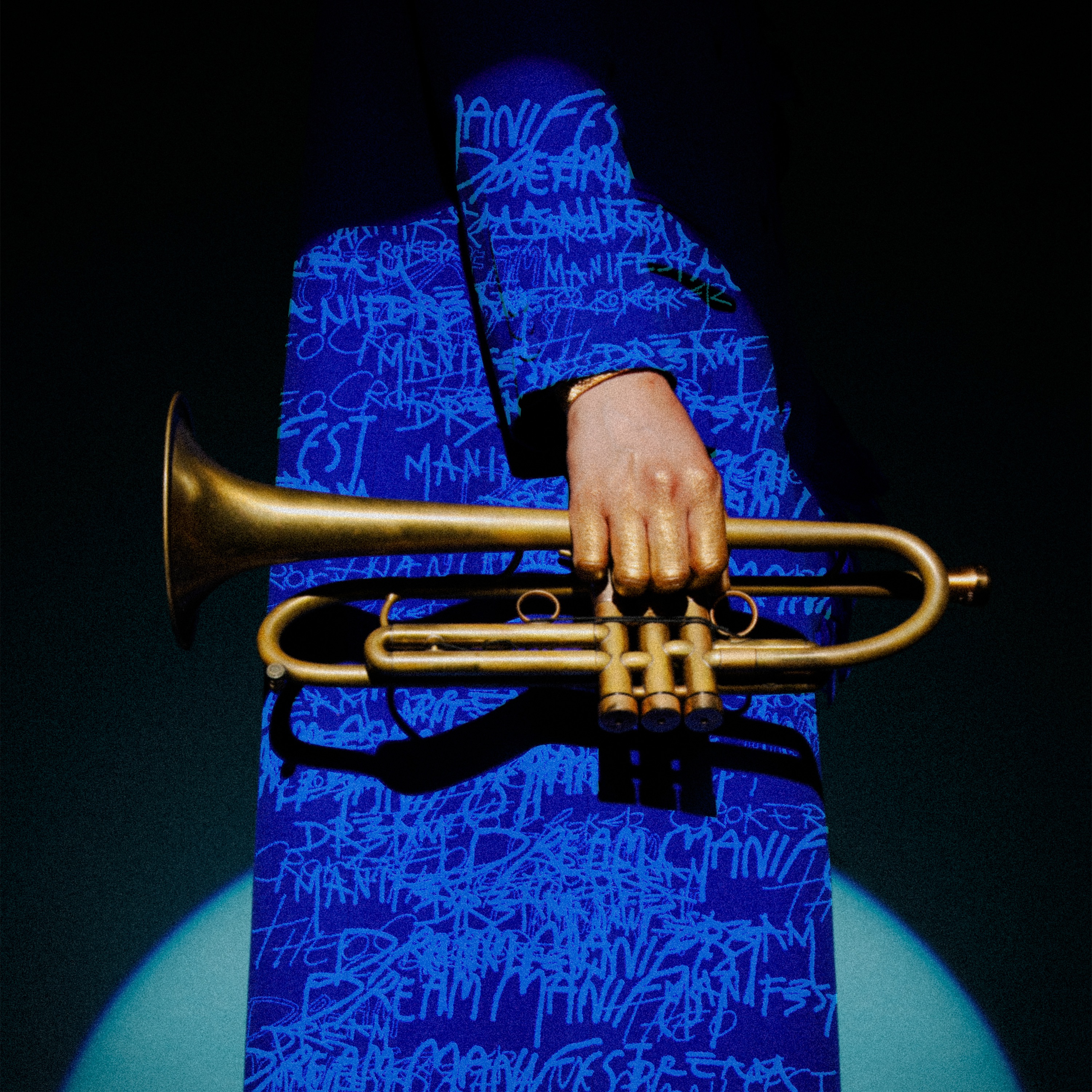 Dream Manifest Deluxe album cover