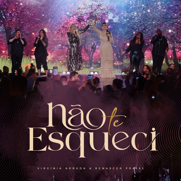 Não Te Esqueci - Single album cover