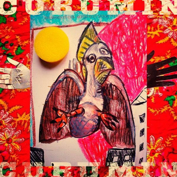 Pisa / Corredor do mato dentro - Single album cover