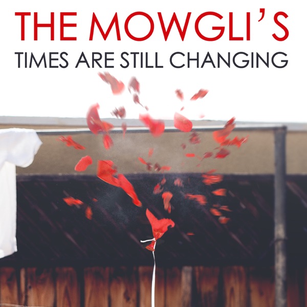Times Are Still Changing - Single album cover