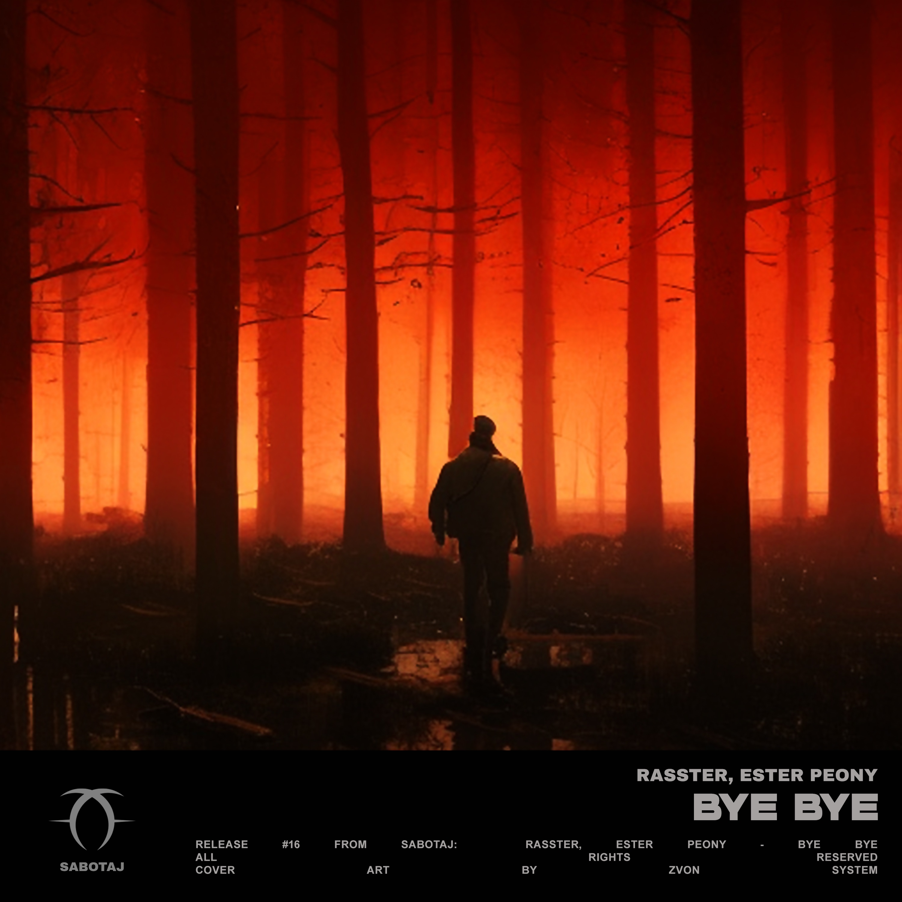 Bye Bye - Single album cover