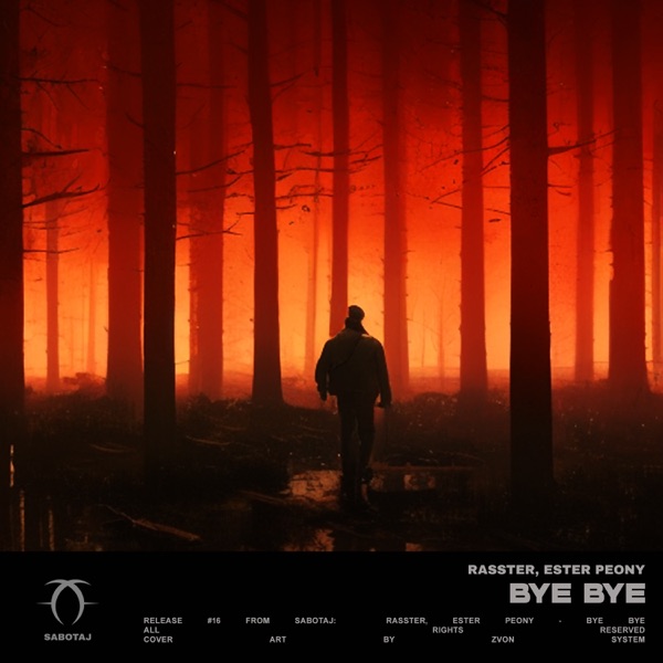 Bye Bye - Single album cover