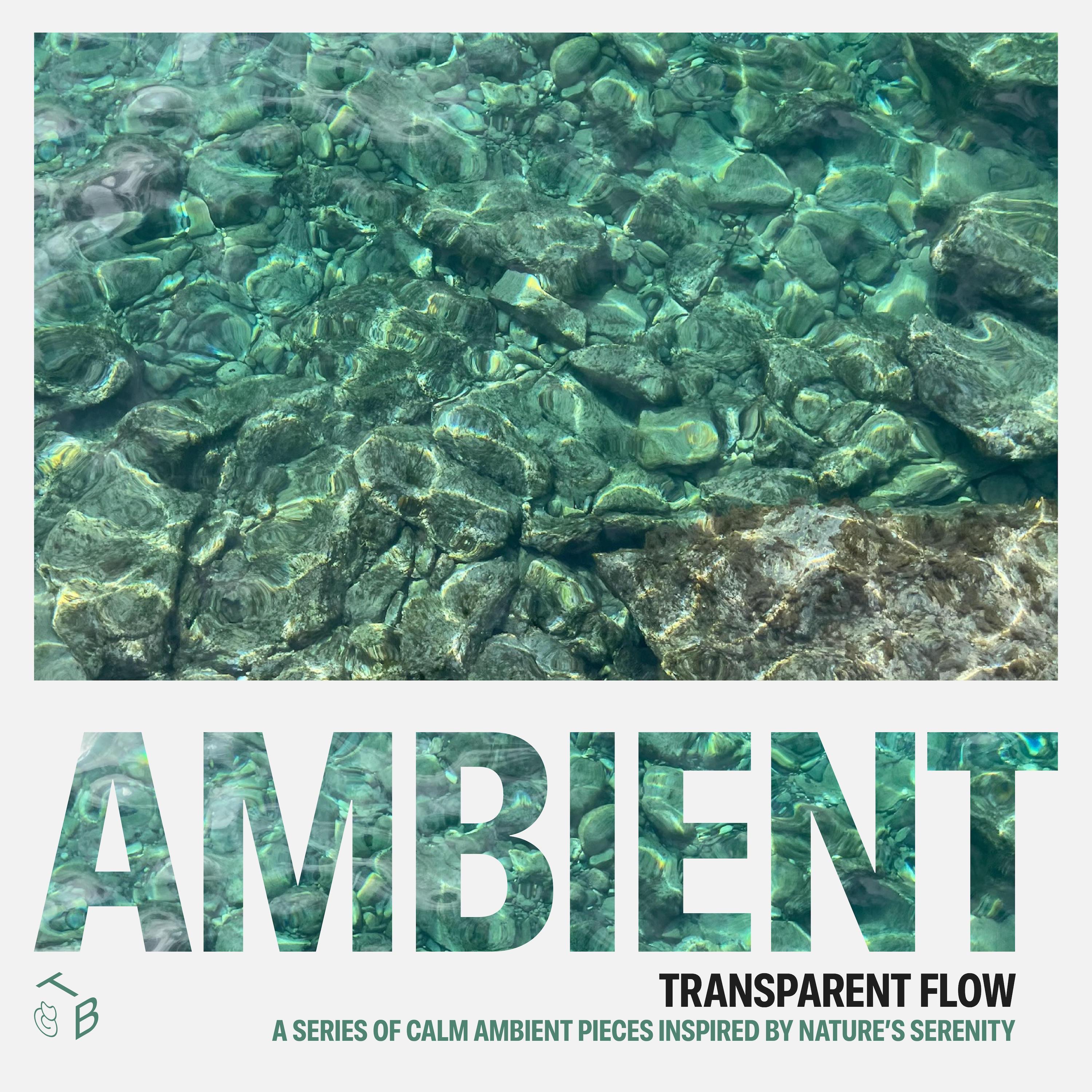 Transparent Flow - EP album cover