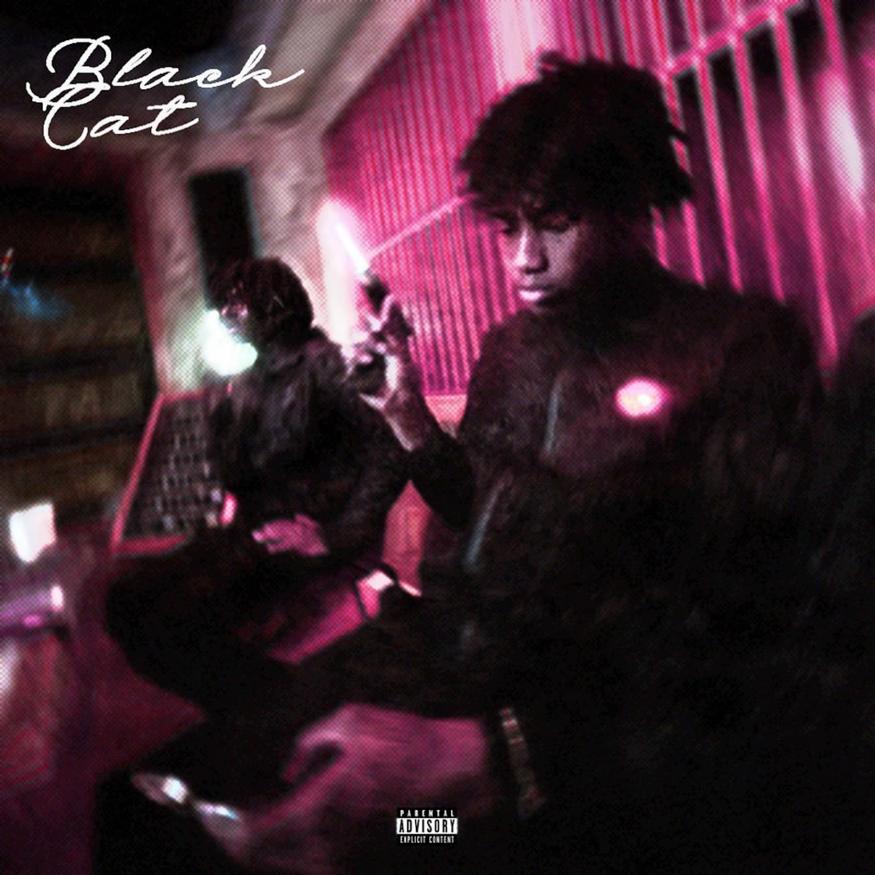 black cat/fell in luv (feat. Rich Amiri) - Single album cover