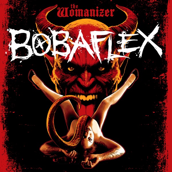 The Womanizer - Single album cover
