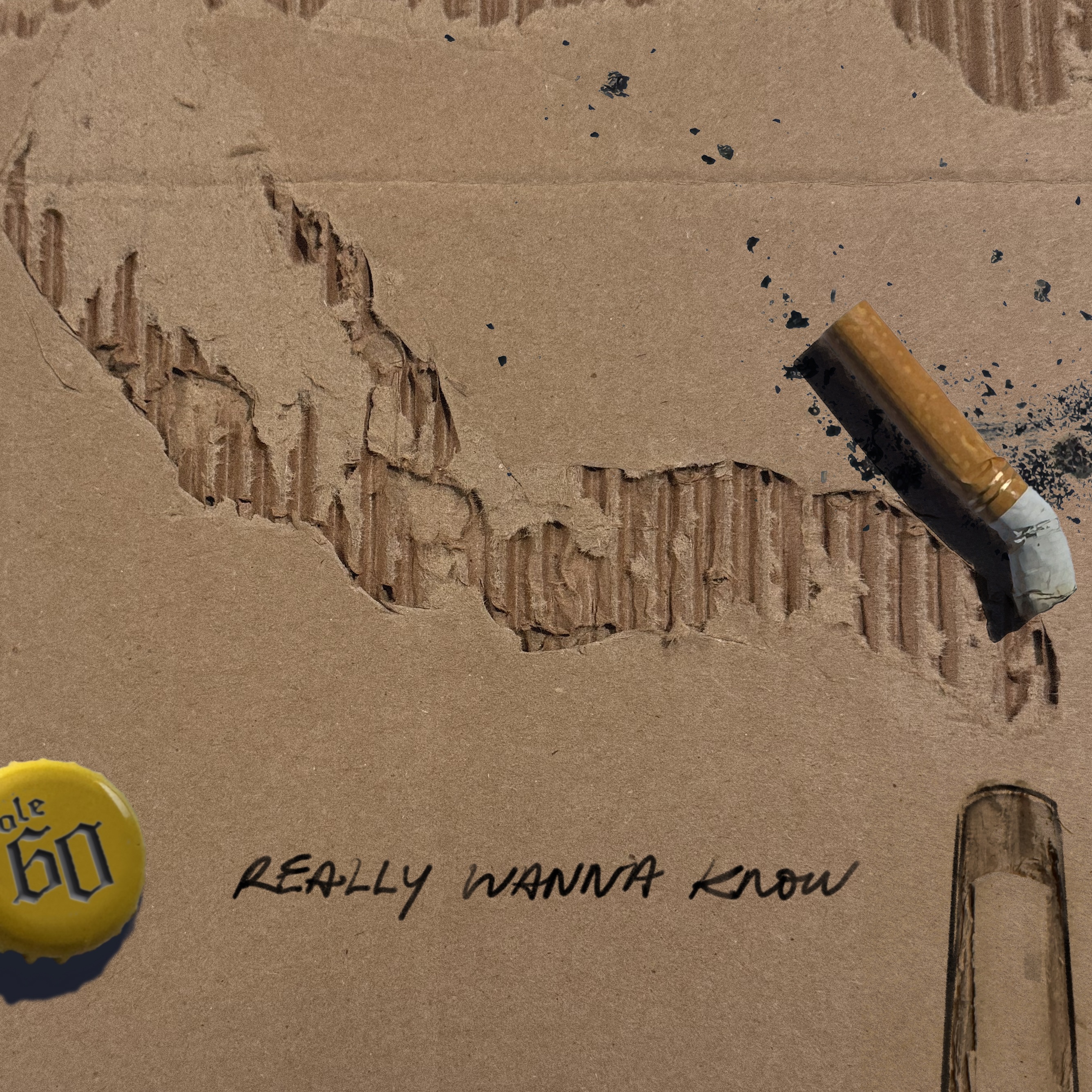 Really Wanna Know - Single album cover