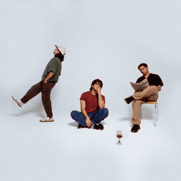 Plastic Wine album cover