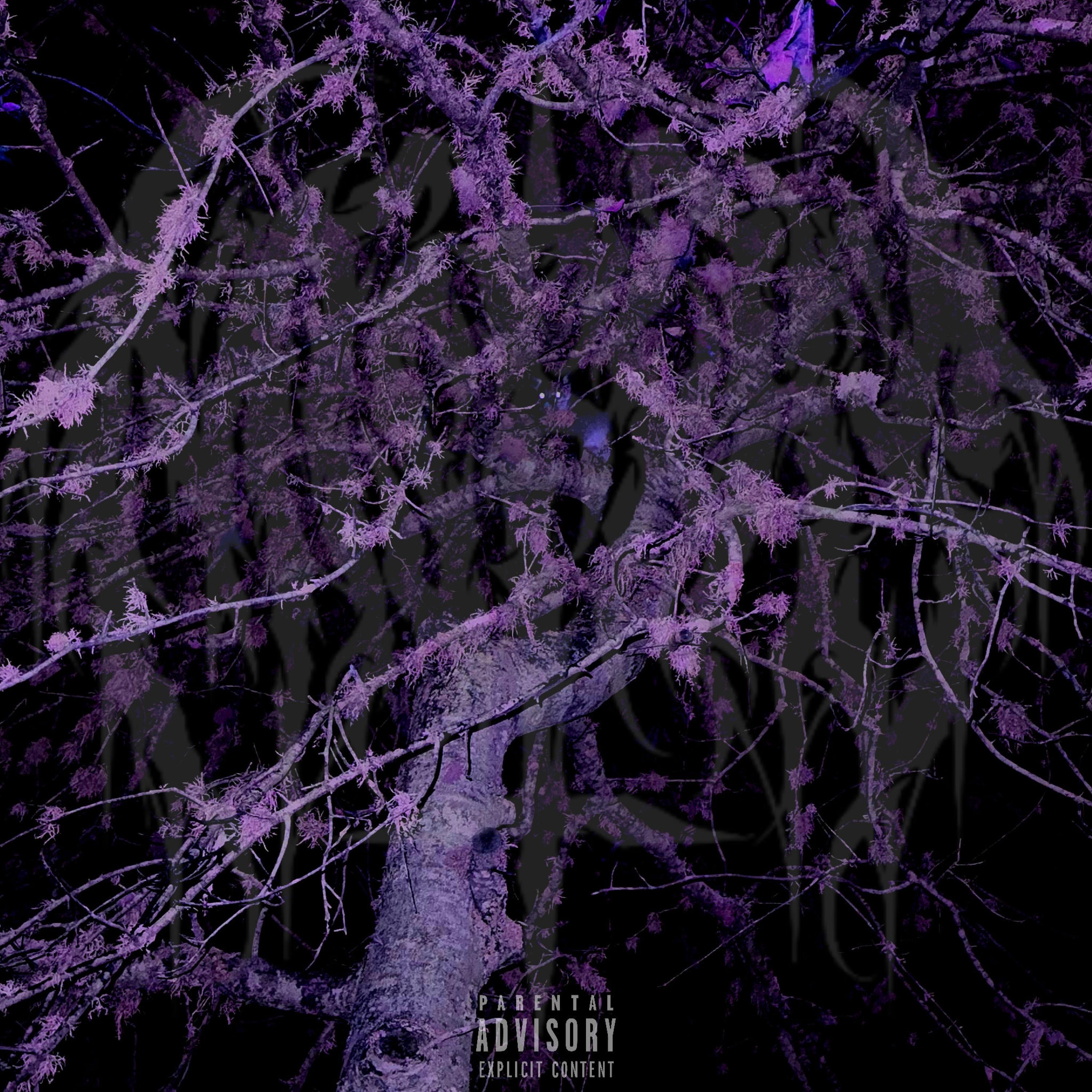 BLUE STRIPS! - Single album cover