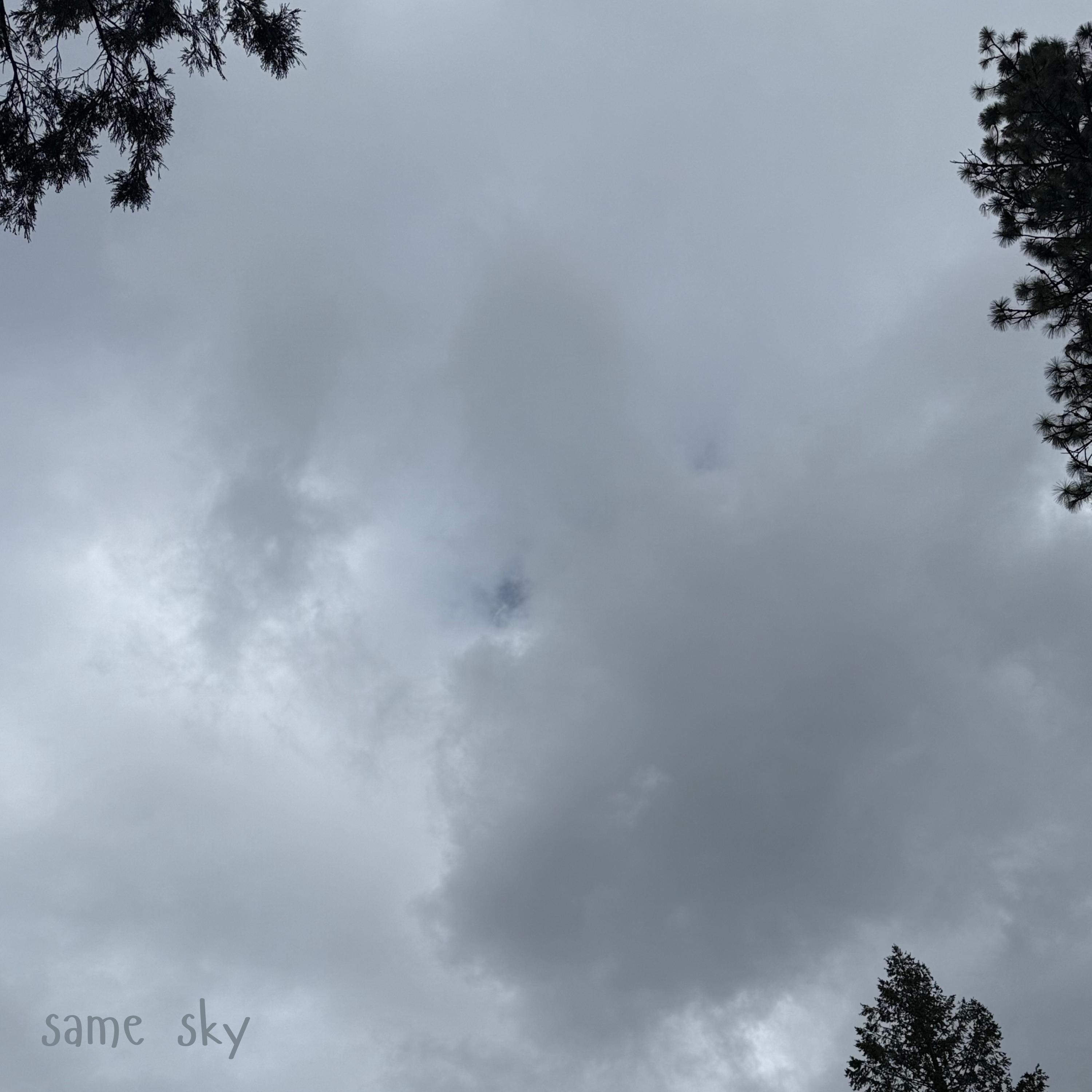 Same Sky (feat. Astyn Turr) - Single album cover