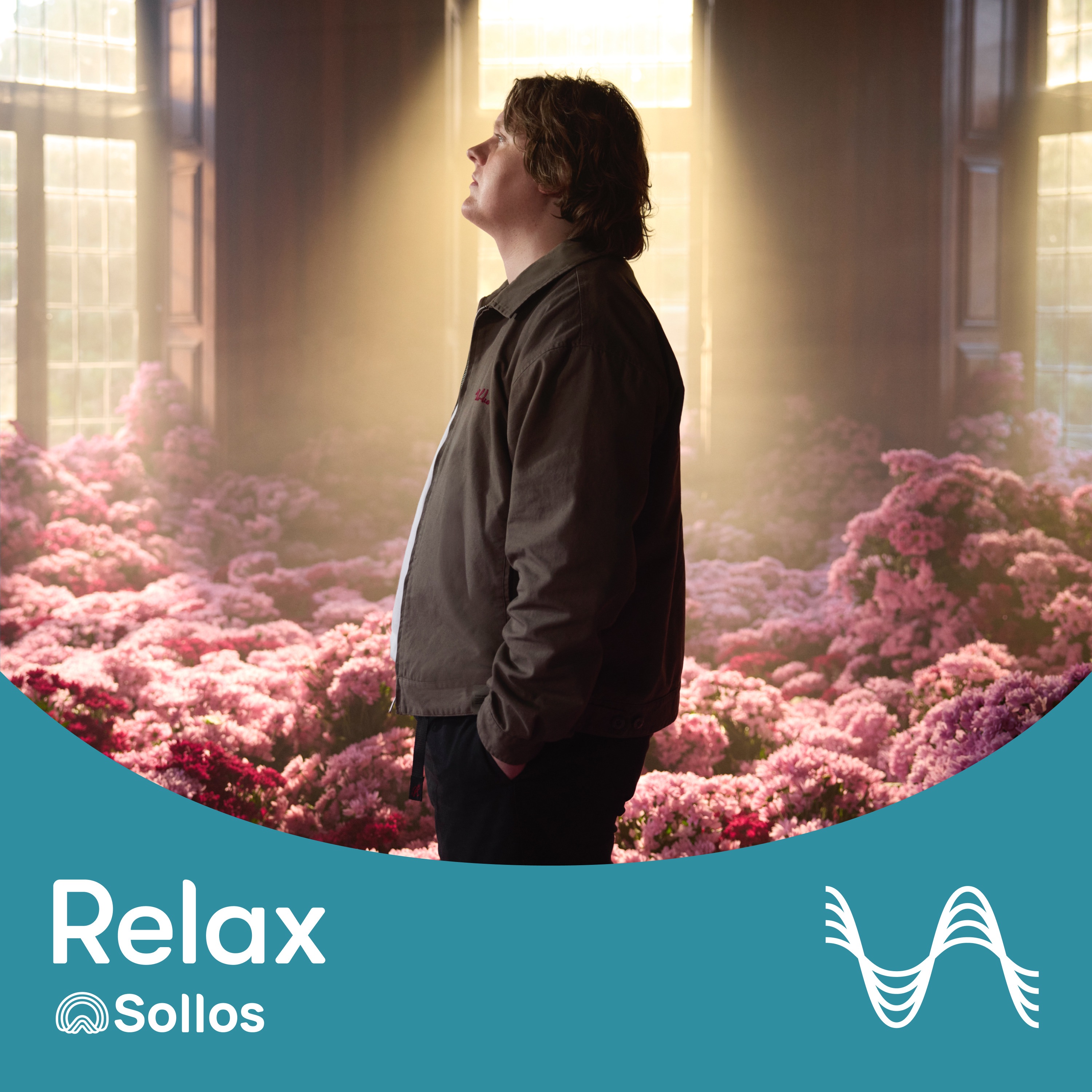 Survive with Lewis Capaldi - Sollos Relax Collection album cover