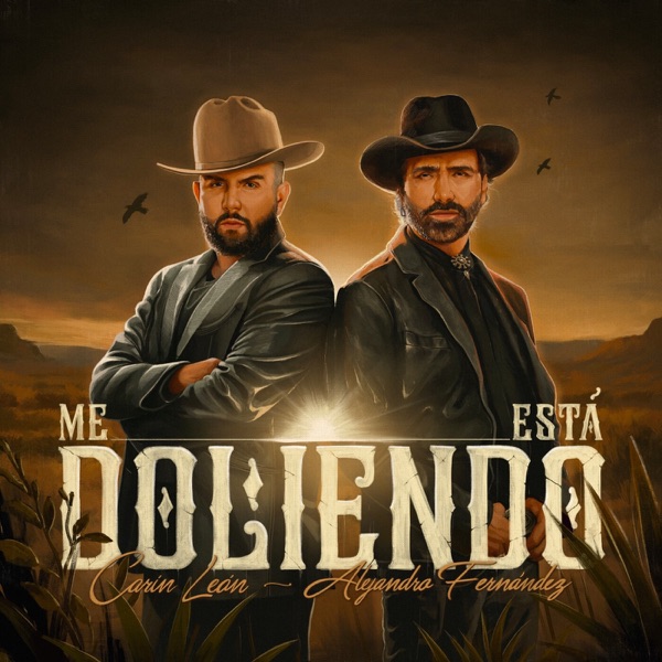 Me Está Doliendo - Single album cover