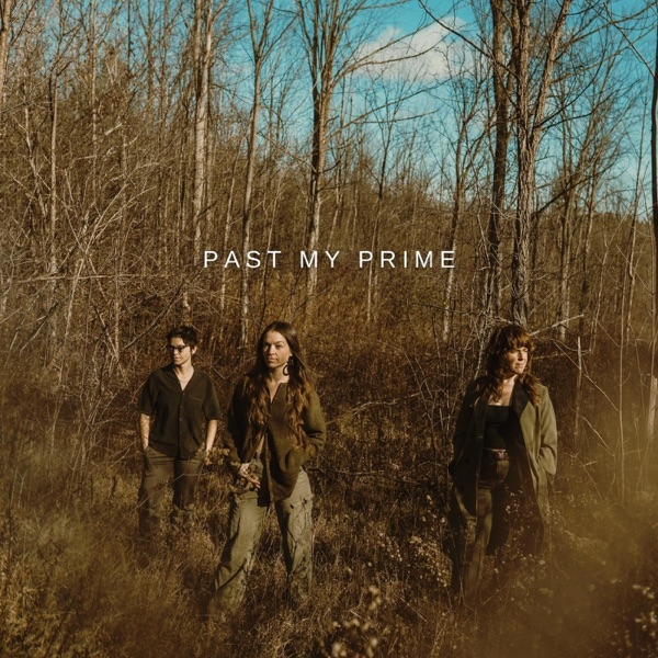 Past My Prime - Single album cover