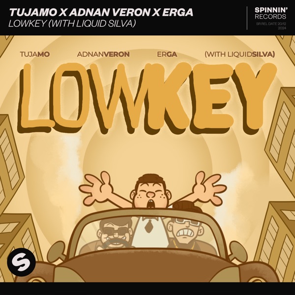 Lowkey (with Liquid Silva) - Single album cover
