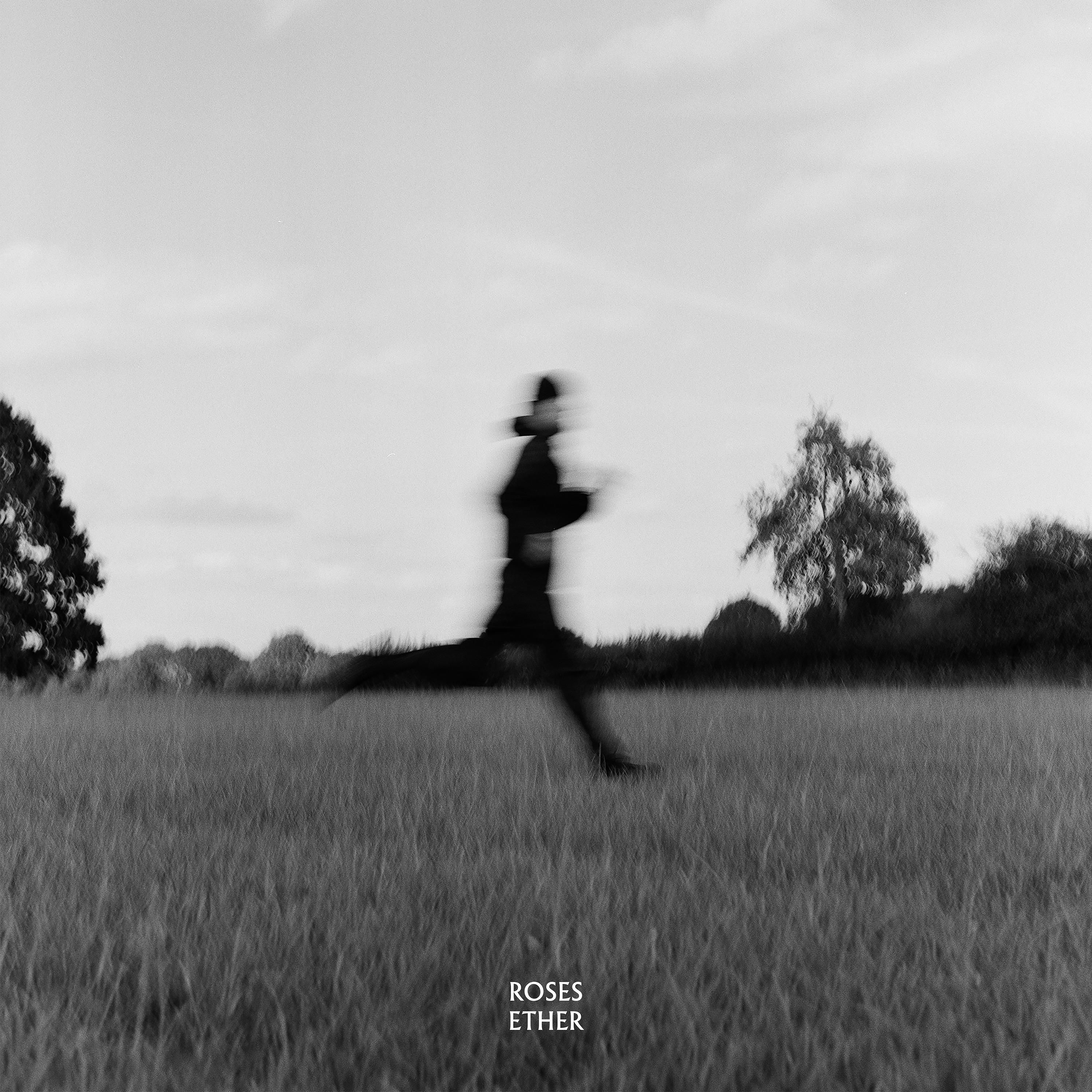 Roses Ether - Single album cover