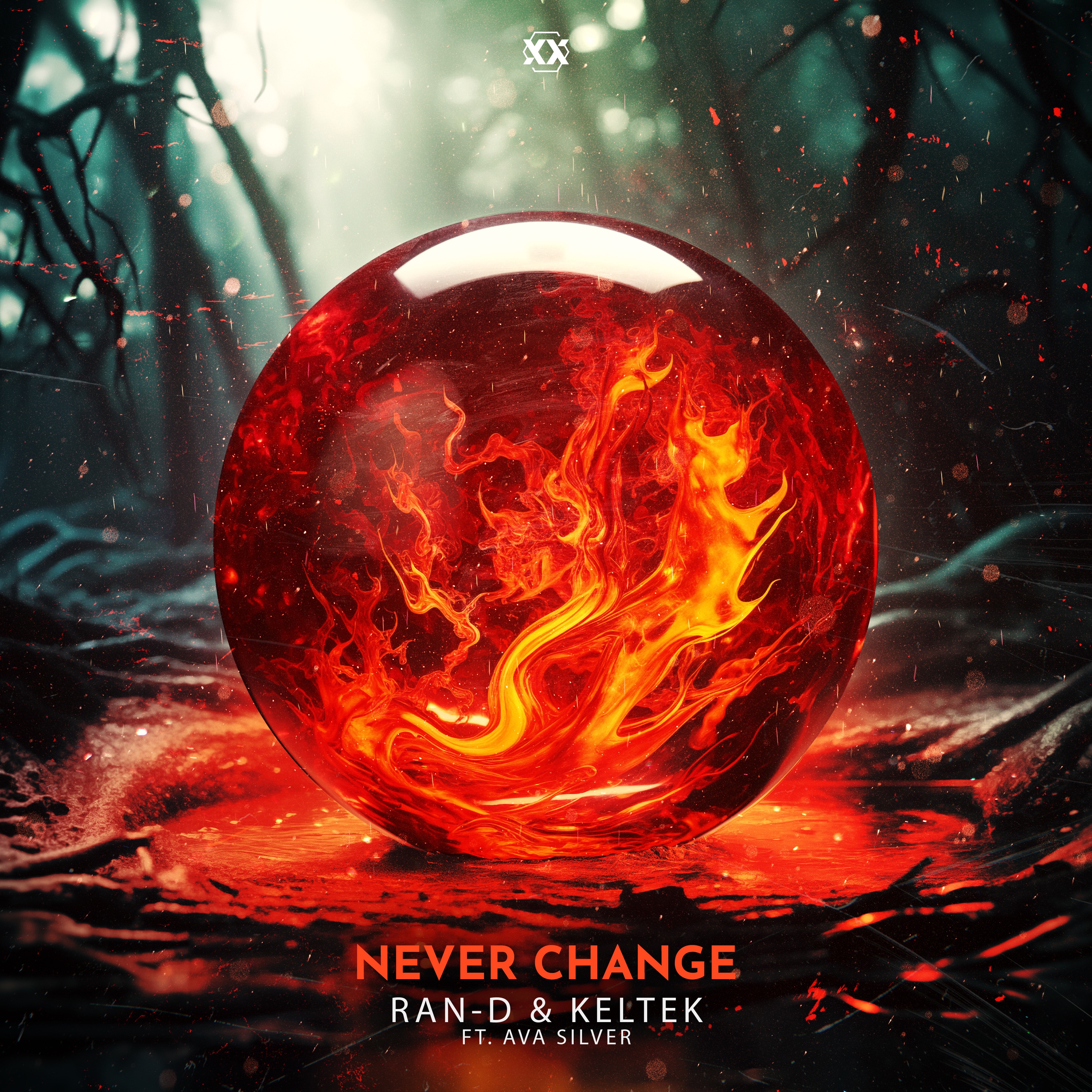 Never Change - Single album cover