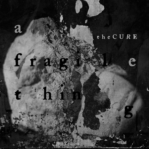 A Fragile Thing - Single album cover