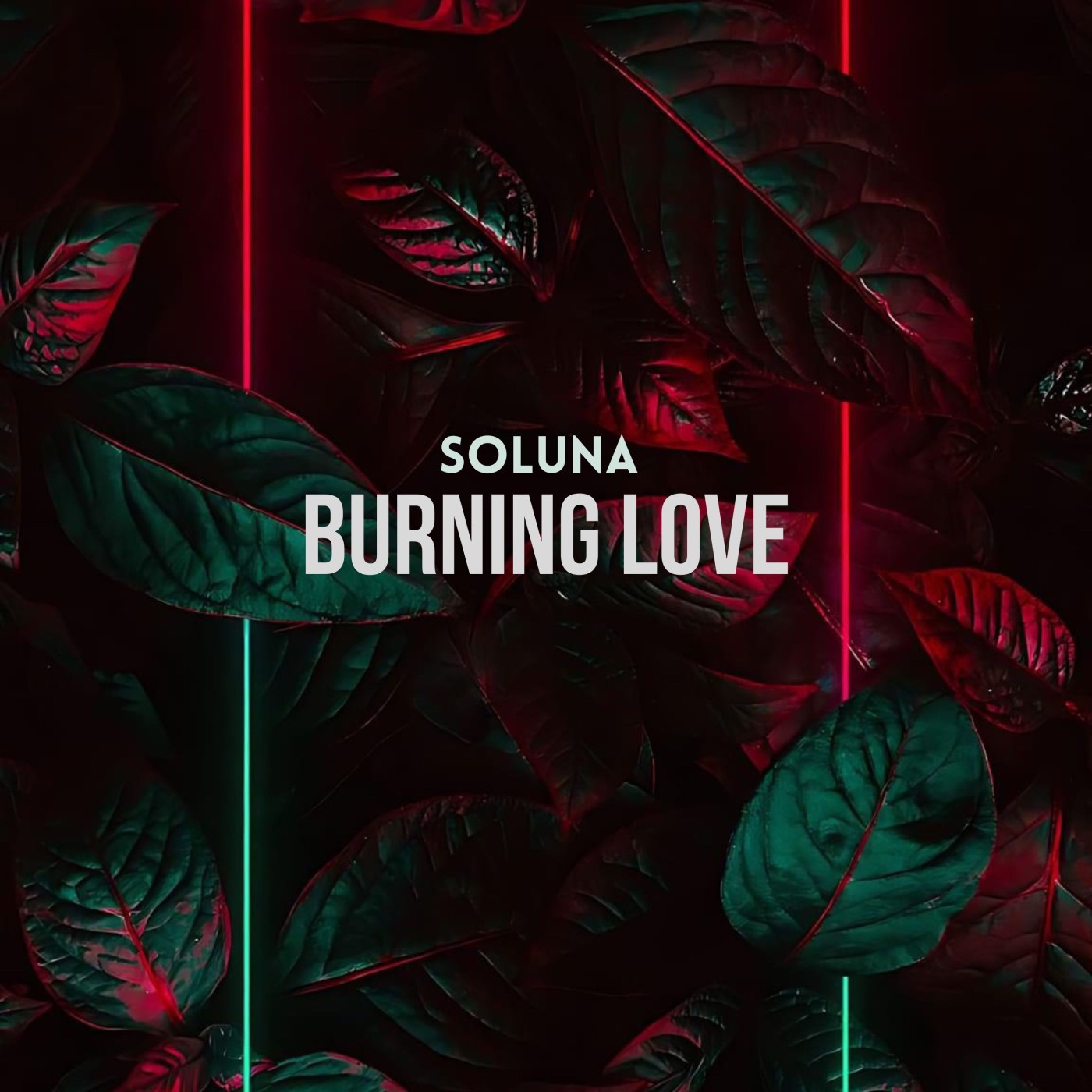 Burning Love - Single album cover
