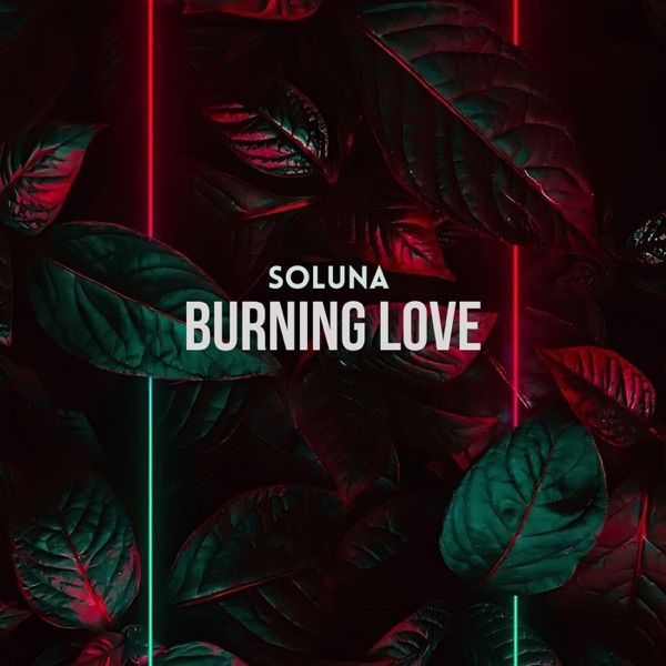Burning Love - Single album cover