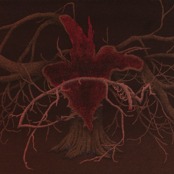 Big Empty Heart - Single album cover