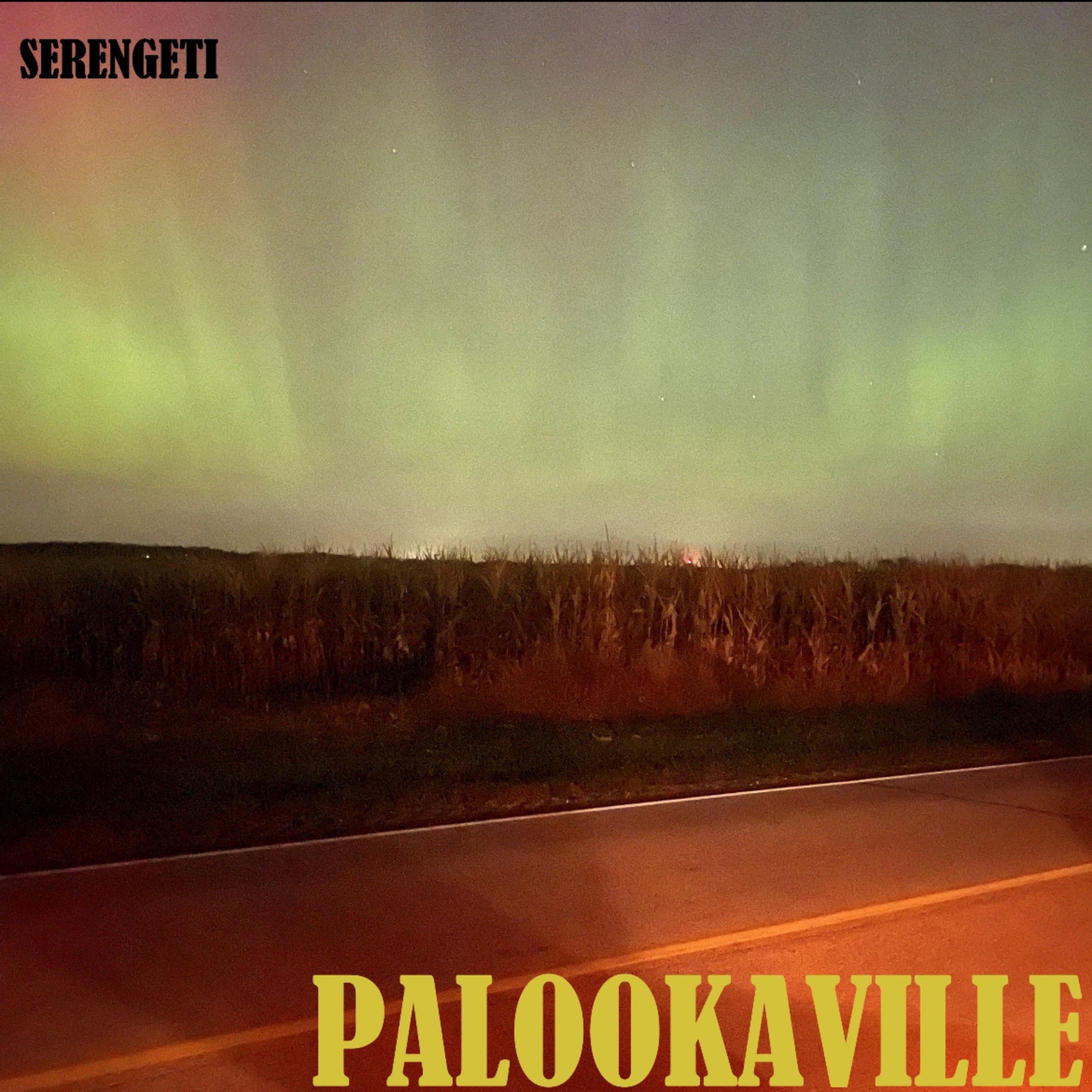 Palookaville album cover