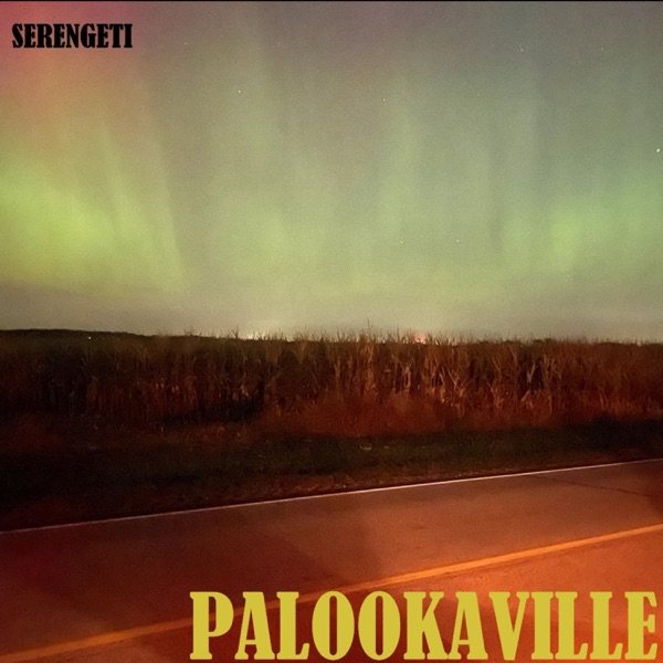 Palookaville album cover