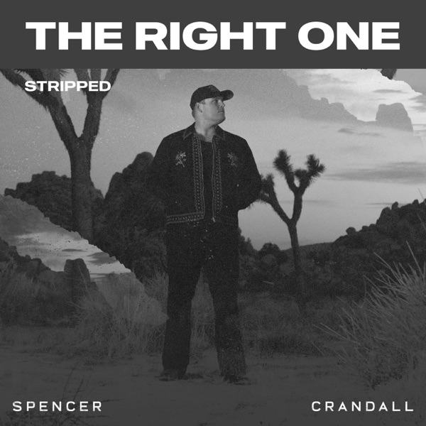 The Right One (Stripped) - Single album cover