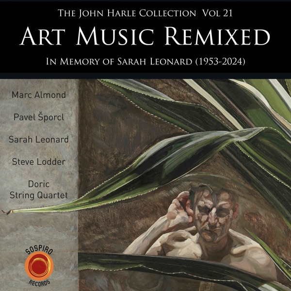 The John Harle Collection, Vol. 21: Art Music Remixed album cover