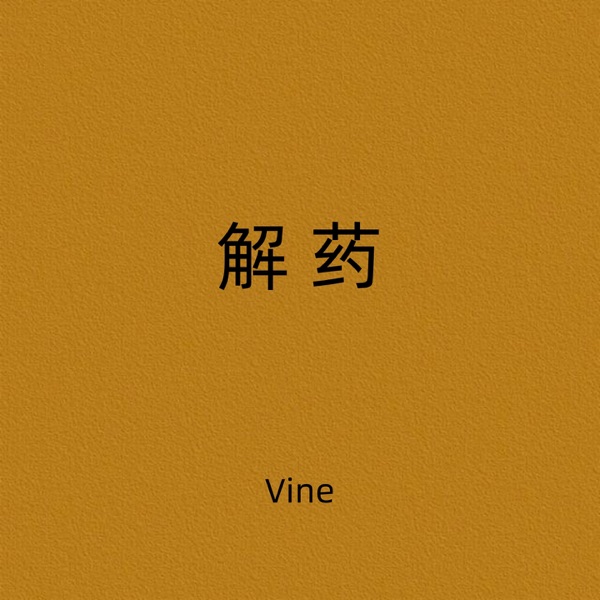 解药 (就在昨天 爱悄然离线) - Single album cover