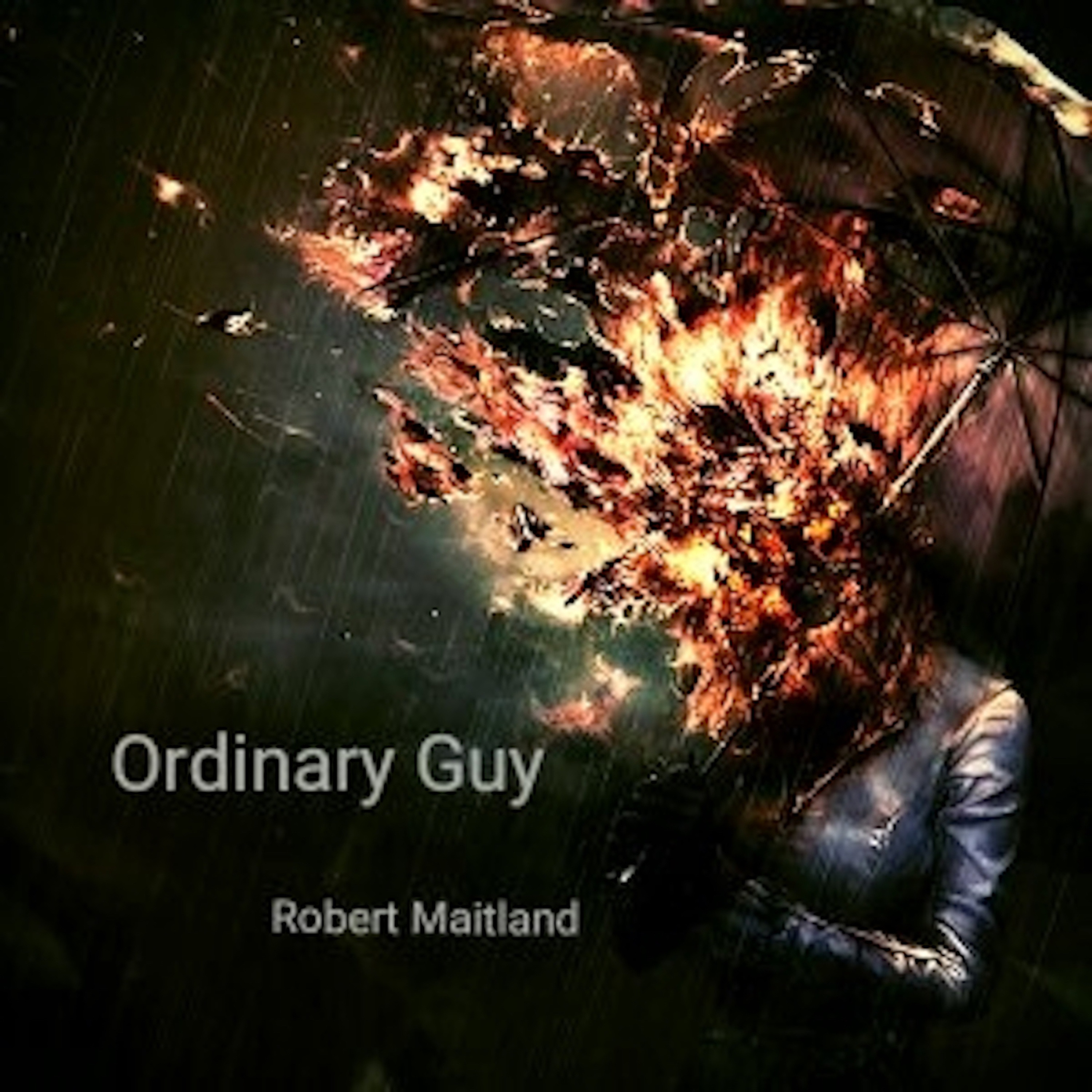 Ordinary Guy - Single album cover